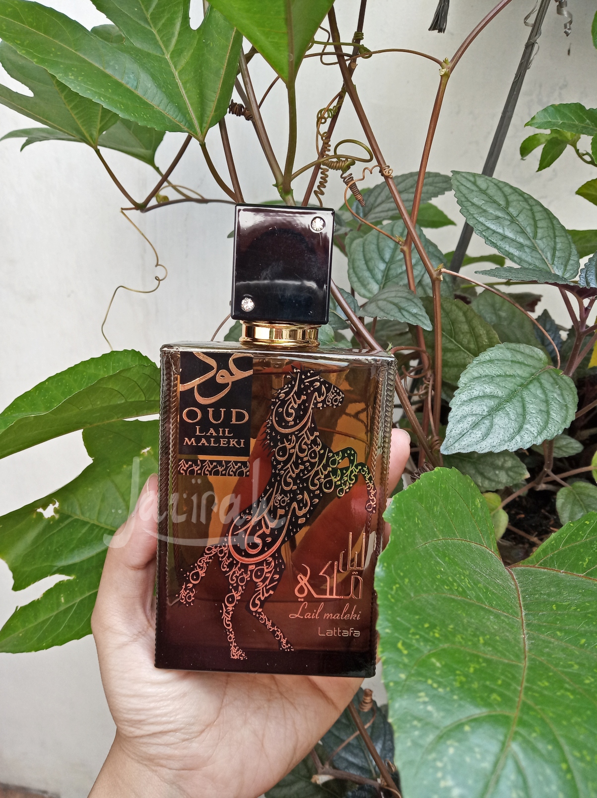 Parfum Oud Lail Maleki