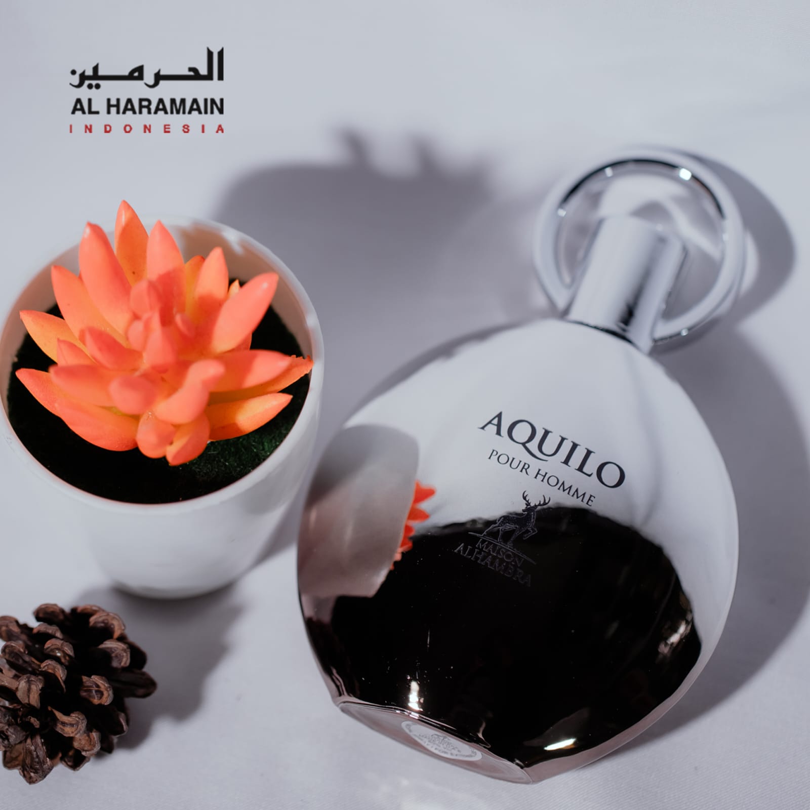 Parfum Aquilo